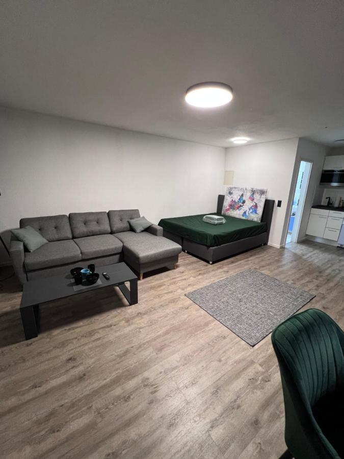 Business Apartment Karlsruhe Eksteriør billede